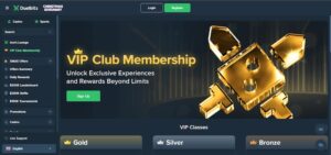 Duelbits VIP-Program