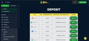 Winz.io innskudd og uttak